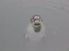 Click to view
