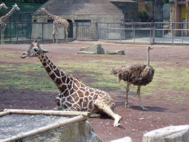 Click to view the next picture