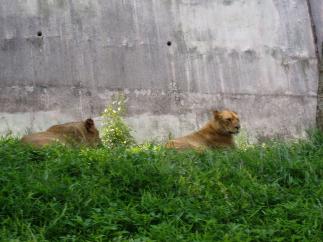 Click to view the next picture
