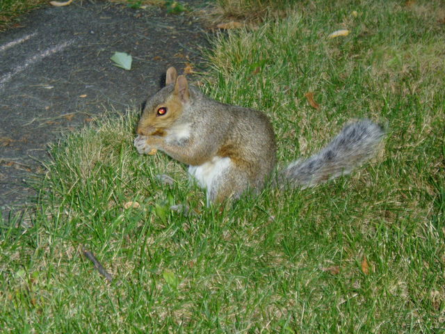 Click to view the next picture