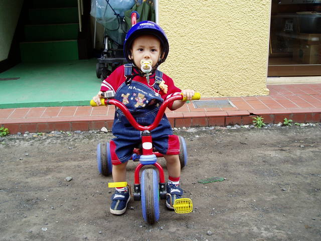 Click to view the next picture