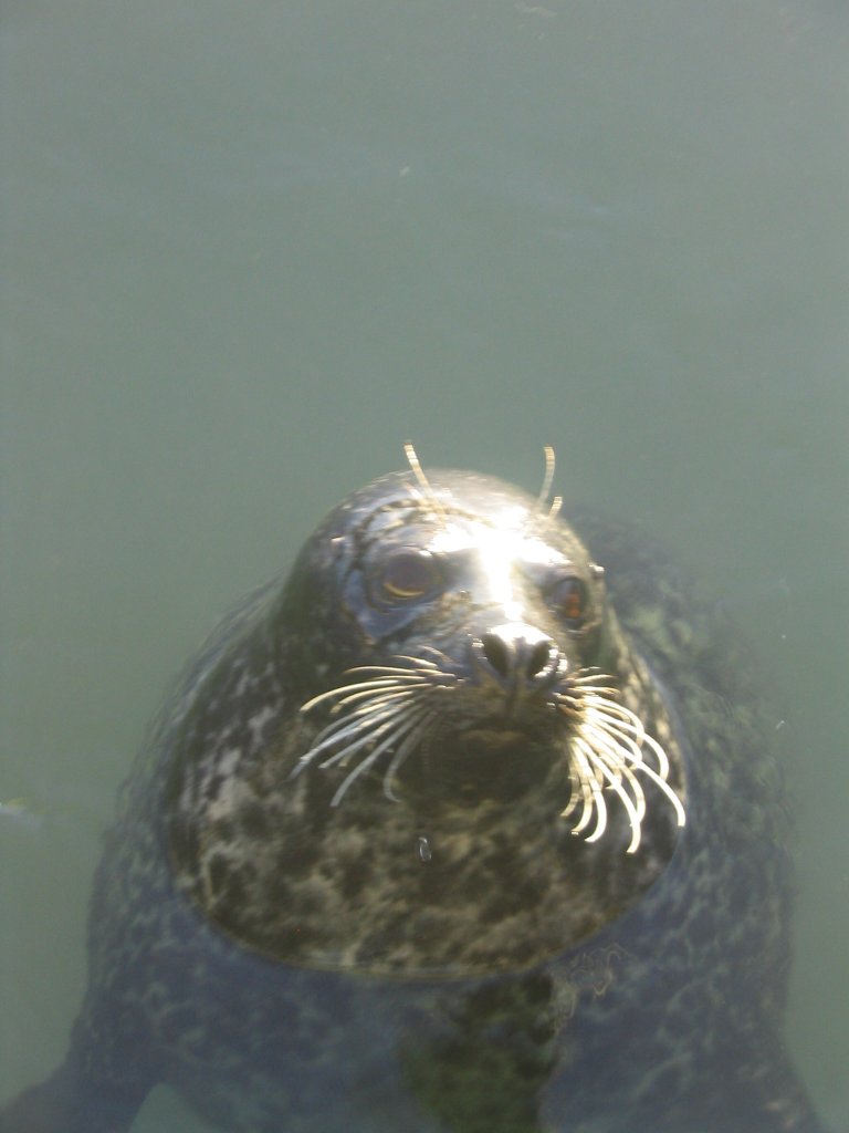 Click to view the next picture