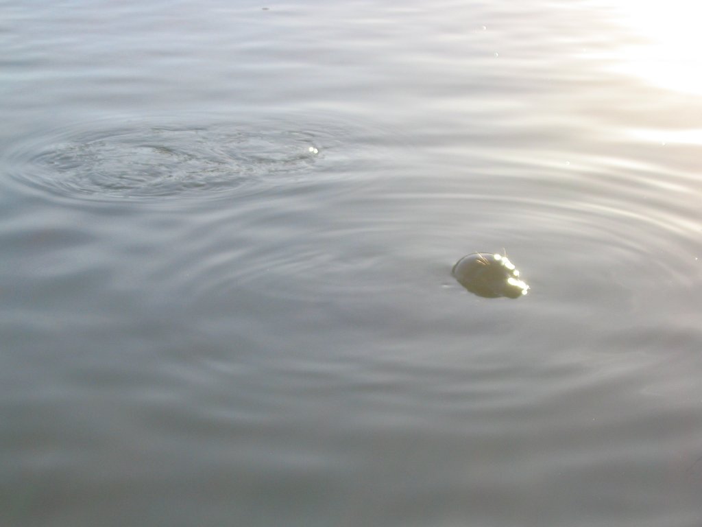 Click to view the next picture