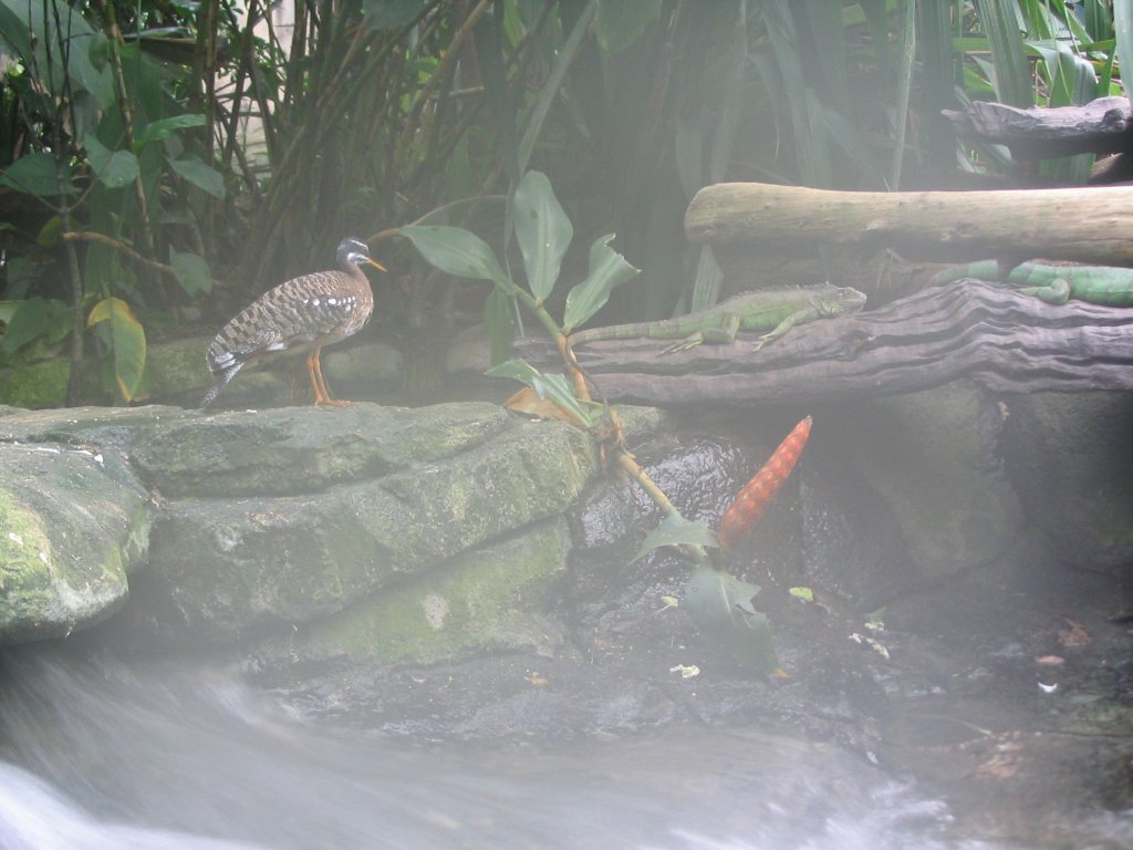 Click to view the next picture